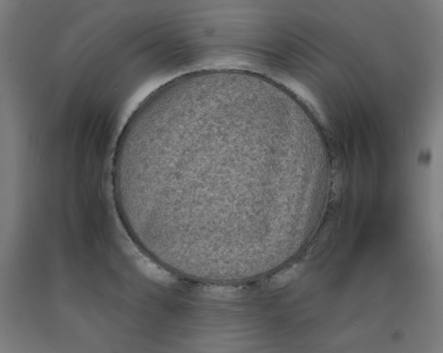 X0000091881086200709261346