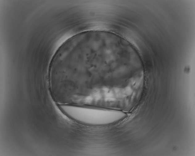 X0000091881087200709261346