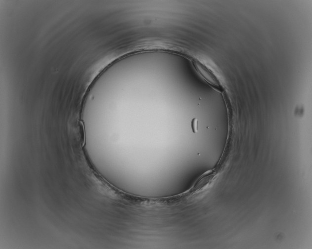 X0000091881089200709261346