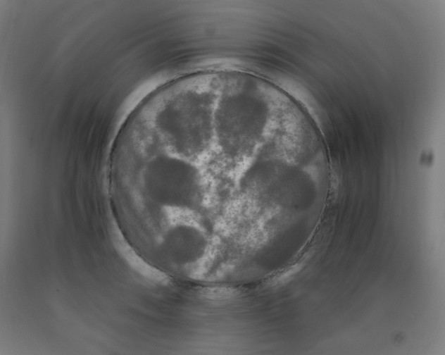 X0000091881090200709261346