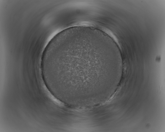 X0000091881091200709261346