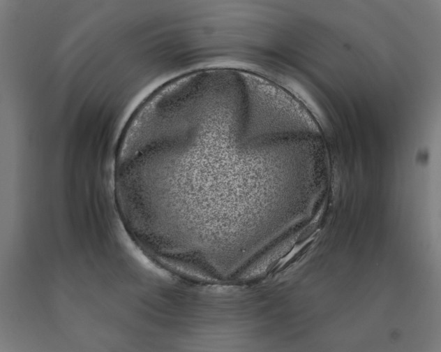 X0000091881092200709261346