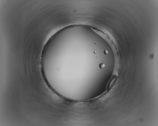 X0000091881093200709261346