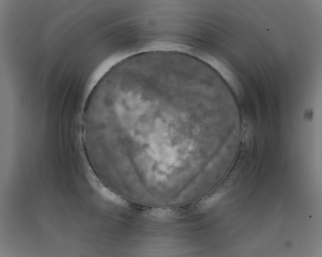 X0000091881094200709261346