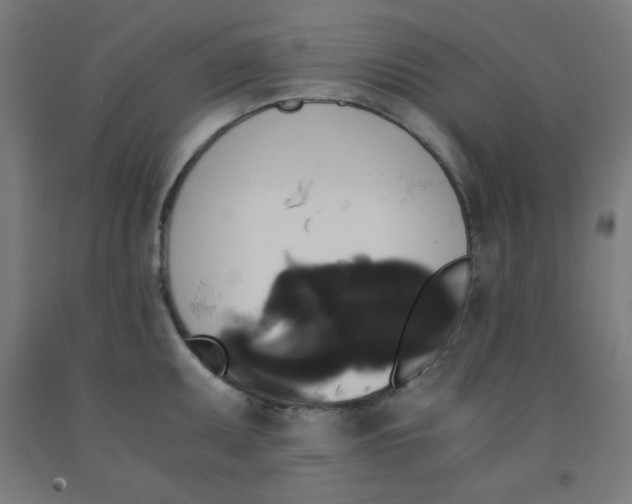 X0000091881095200709261346