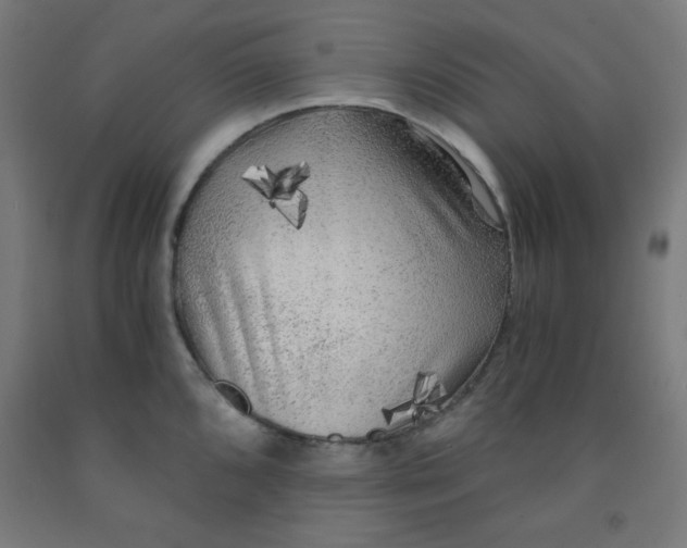 X0000091881096200709261346