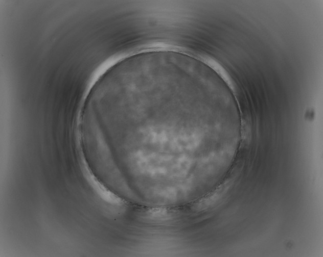 X0000091881098200709261346