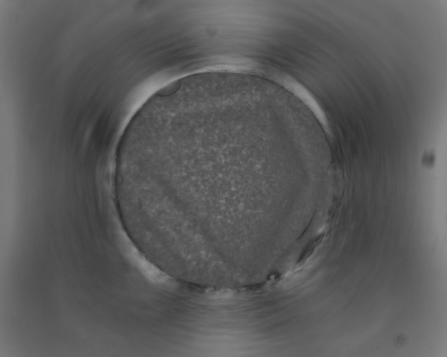 X0000091881099200709261346