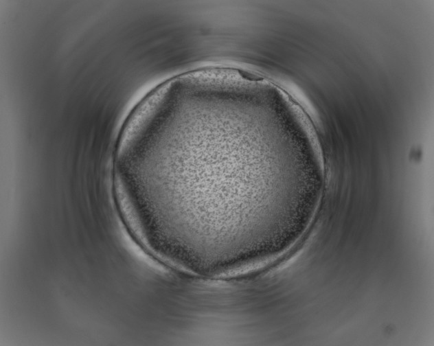 X0000091881100200709261346