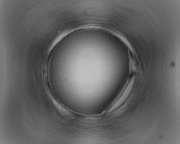 X0000091881101200709261346