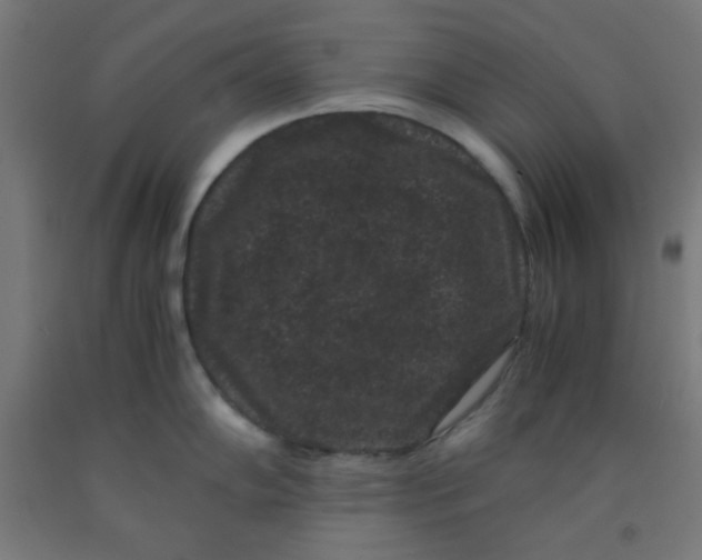 X0000091881102200709261346