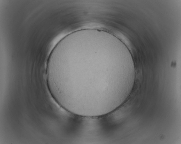 X0000091881103200709261346