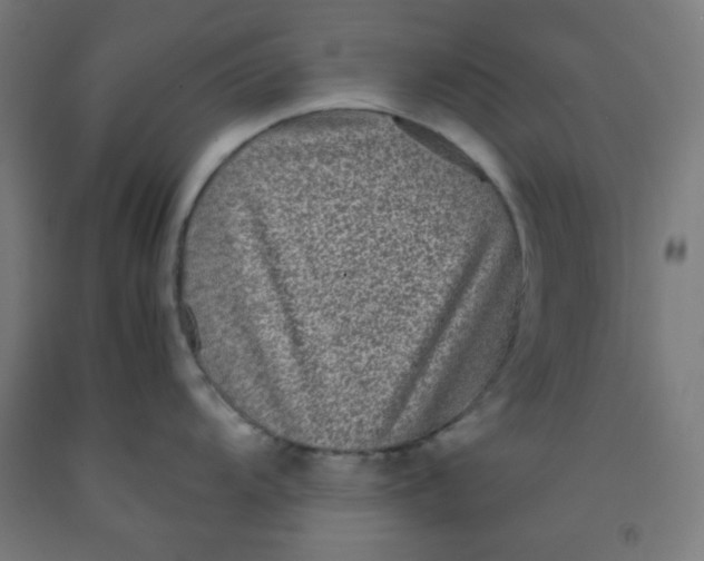 X0000091881104200709261346