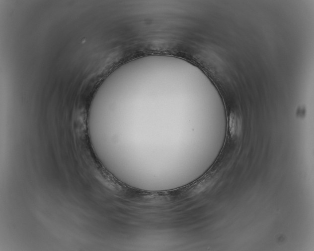 X0000091881107200709261345