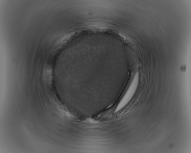 X0000091881108200709261345