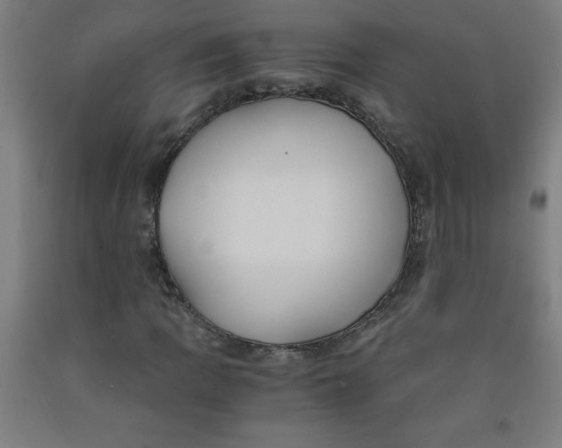 X0000091881109200709261345