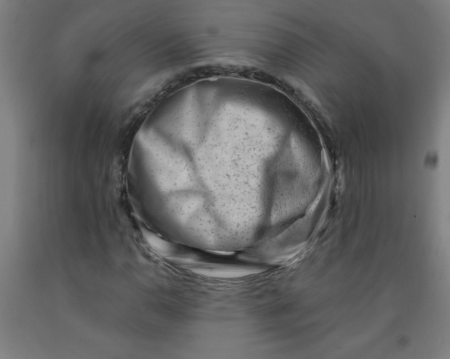 X0000091881110200709261345