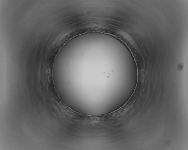 X0000091881111200709261345