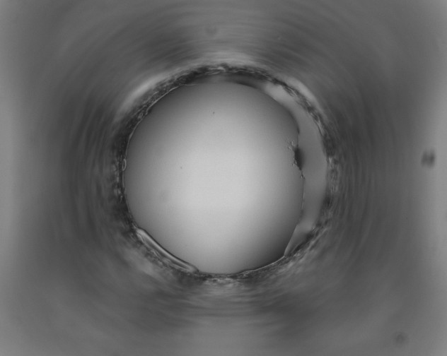 X0000091881112200709261345