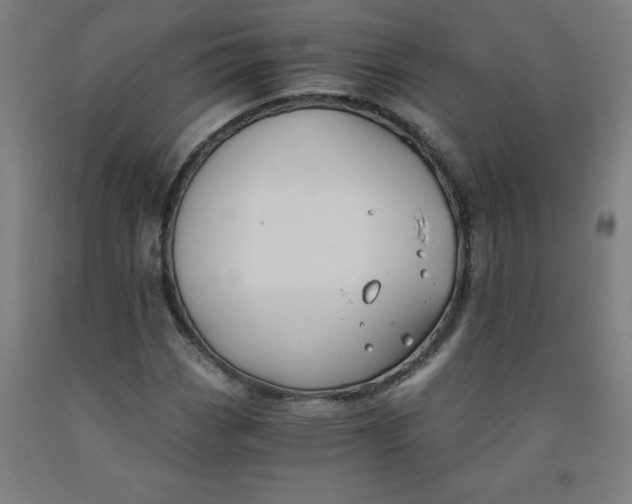 X0000091881113200709261345