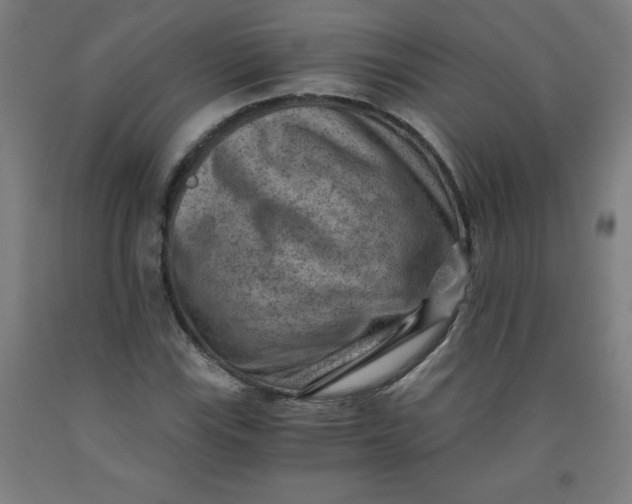 X0000091881115200709261345