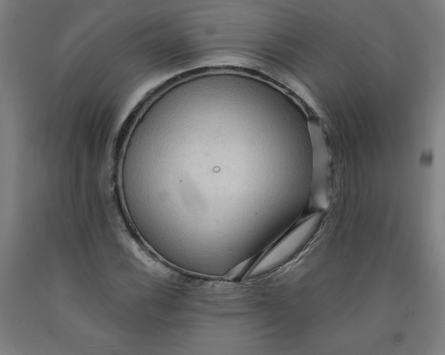 X0000091881116200709261345