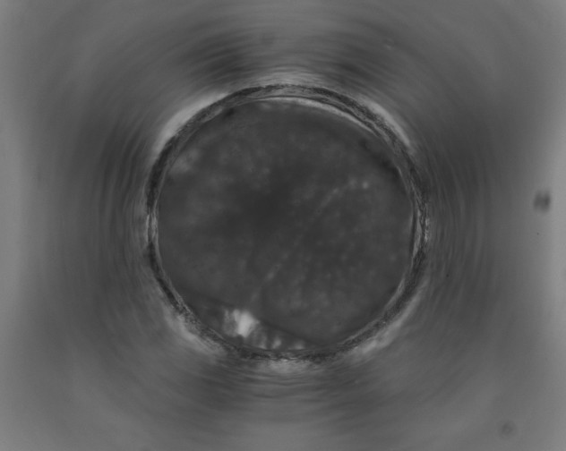 X0000091881117200709261345