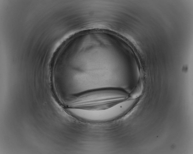 X0000091881118200709261345