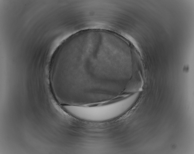 X0000091881120200709261345