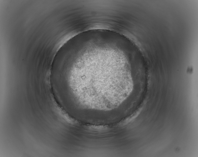 X0000091881121200709261345