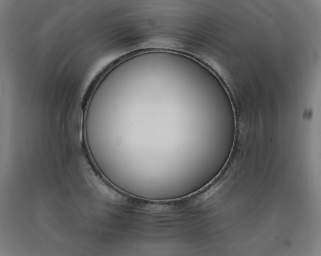 X0000091881123200709261345