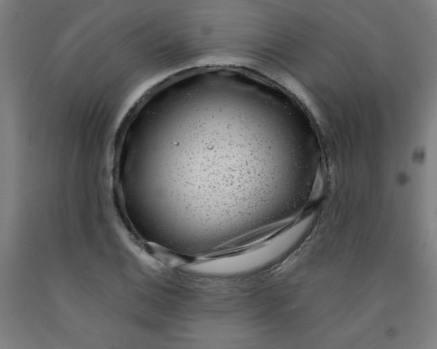 X0000091881124200709261345