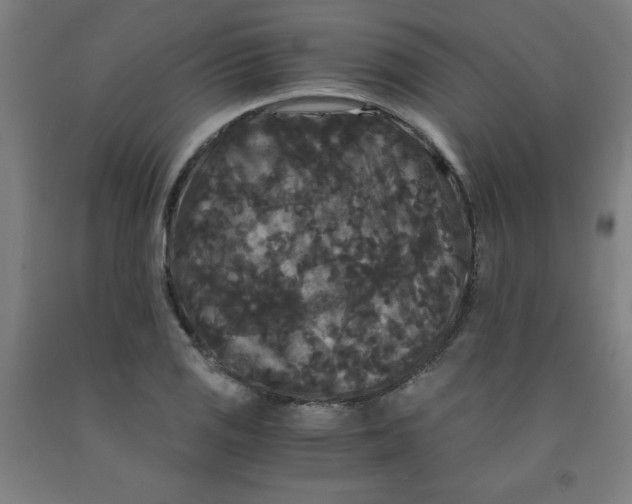 X0000091881125200709261345