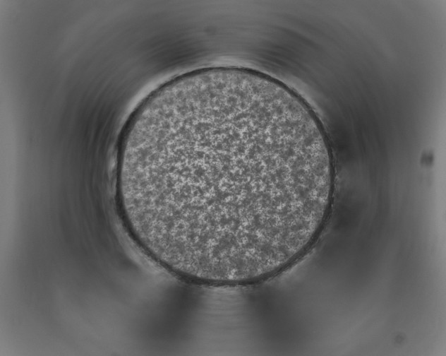 X0000091881126200709261345