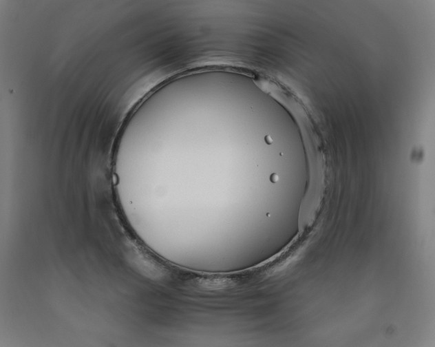 X0000091881129200709261345