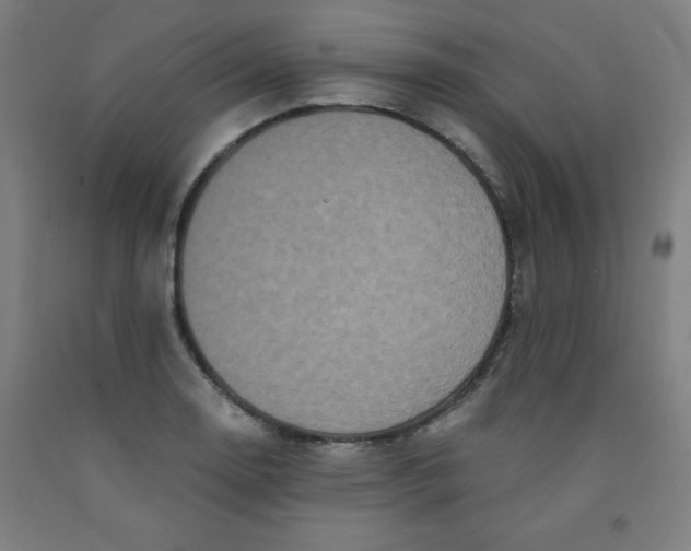 X0000091881130200709261345