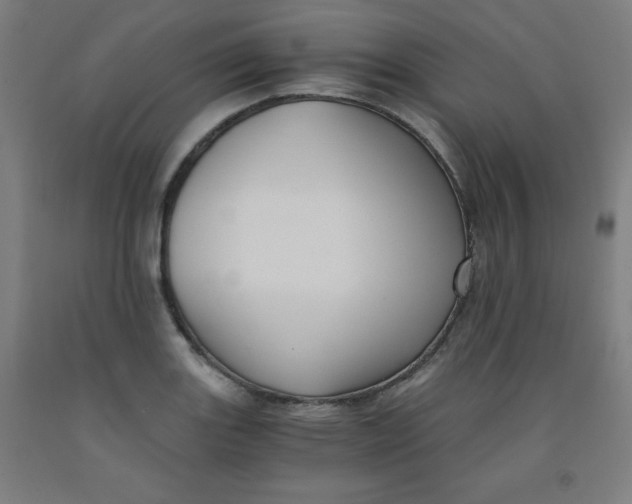 X0000091881131200709261345