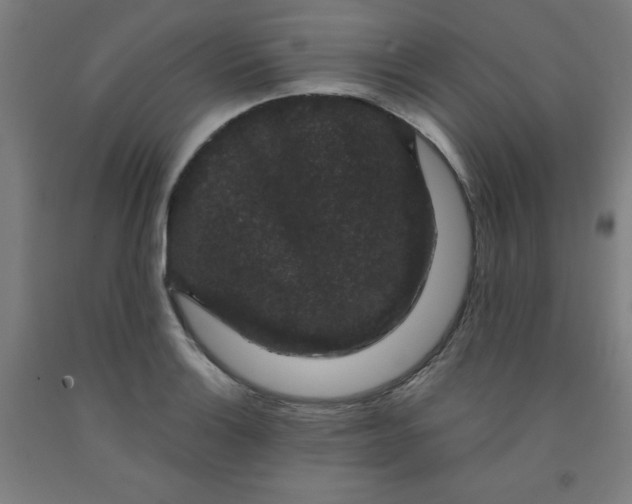 X0000091881132200709261345