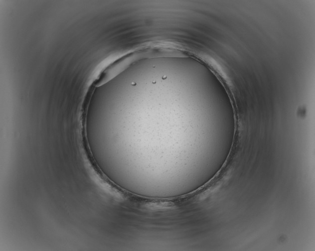 X0000091881133200709261345