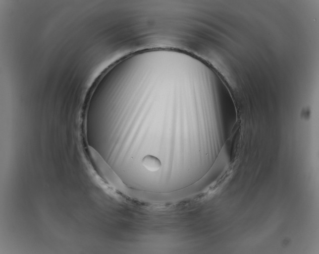 X0000091881134200709261345