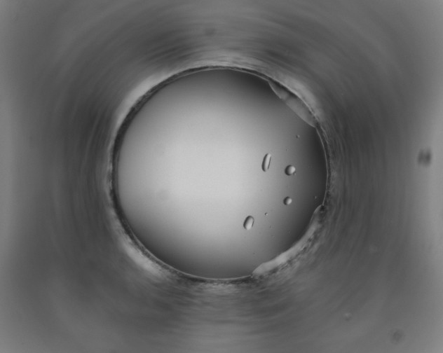 X0000091881136200709261346