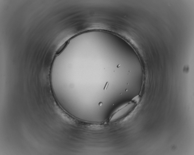 X0000091881137200709261346