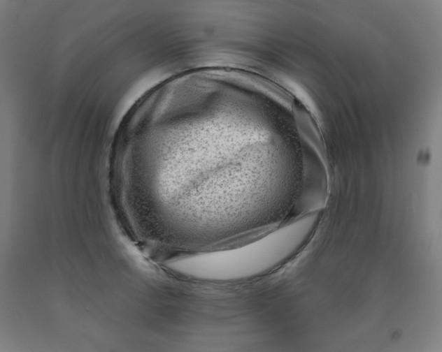 X0000091881138200709261346