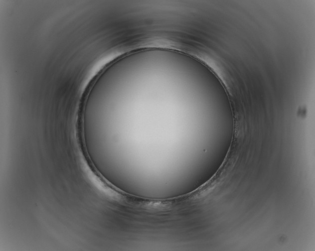 X0000091881139200709261346