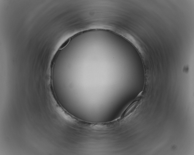 X0000091881140200709261346