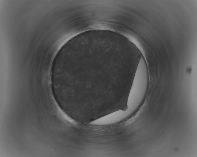 X0000091881141200709261346