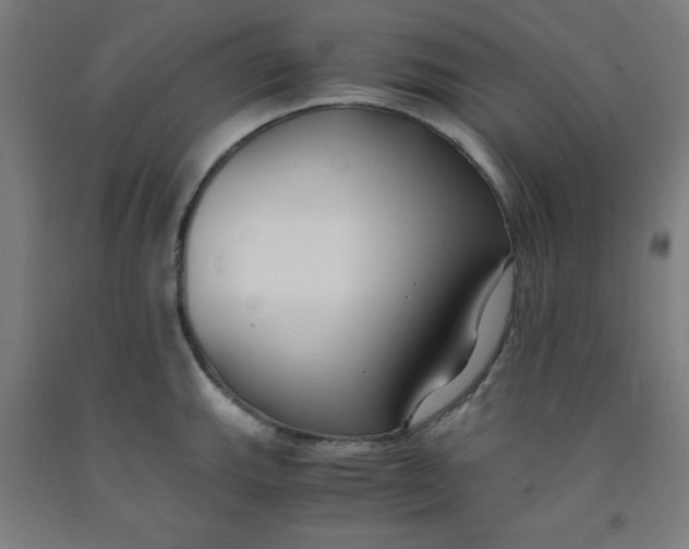 X0000091881143200709261346