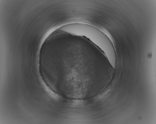 X0000091881144200709261346