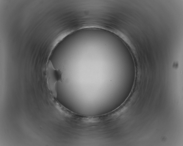 X0000091881145200709261346