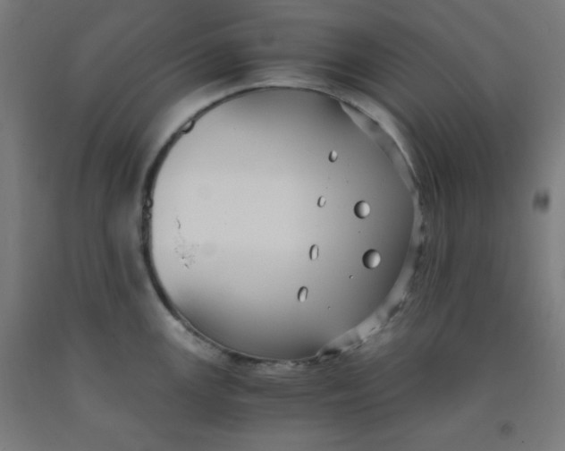 X0000091881147200709261346